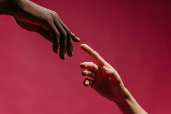 Rex Casino Ënnerstëtzung